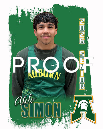 Aldo Simon