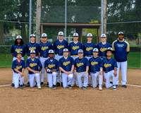 Spring Sports Teams