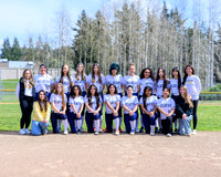 Decatur Softball VAR