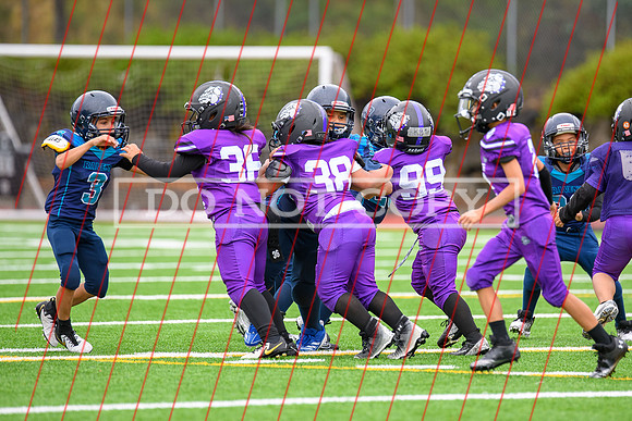 2024 08-25 Bulldogs at Aub Riverside 3rd-4th-008