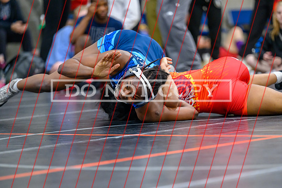 Love Daley-20