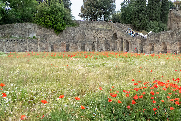 Italy 05-2026-111