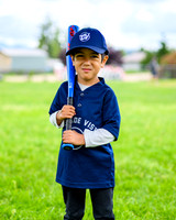 Cascade Vista Pony League