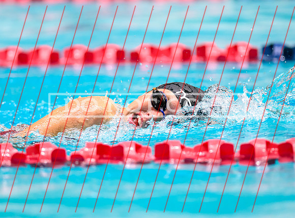 Federal Way All City Quad Swim Meet-11