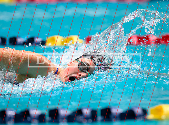 Federal Way All City Quad Swim Meet-6