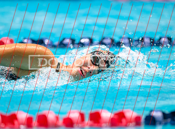Federal Way All City Quad Swim Meet-91
