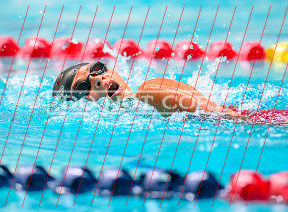 Federal Way All City Quad Swim Meet-72