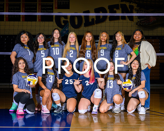 Decatur Volleyball C Team-1
