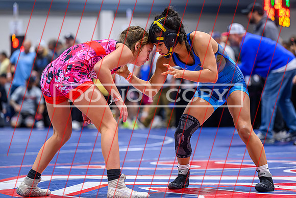 Olivia Davalos-14