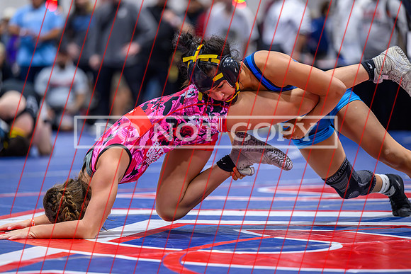 Olivia Davalos-13