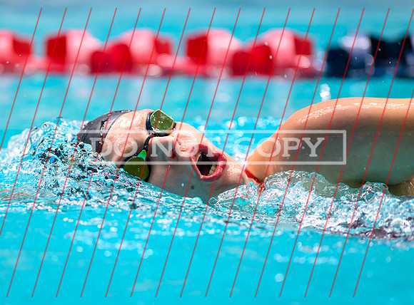 Federal Way All City Quad Swim Meet