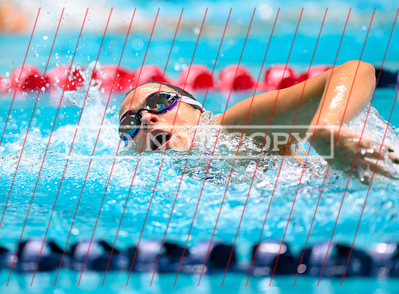 Federal Way All City Quad Swim Meet-18