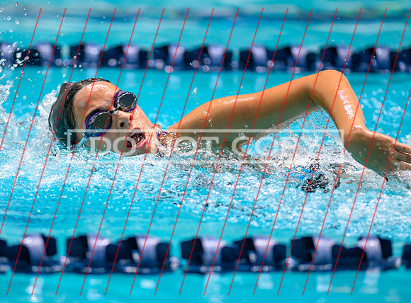 Federal Way All City Quad Swim Meet-133