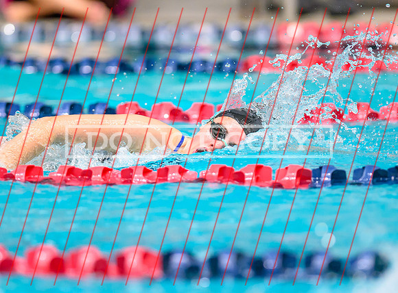 Federal Way All City Quad Swim Meet-92