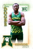 Jomo Dogbe