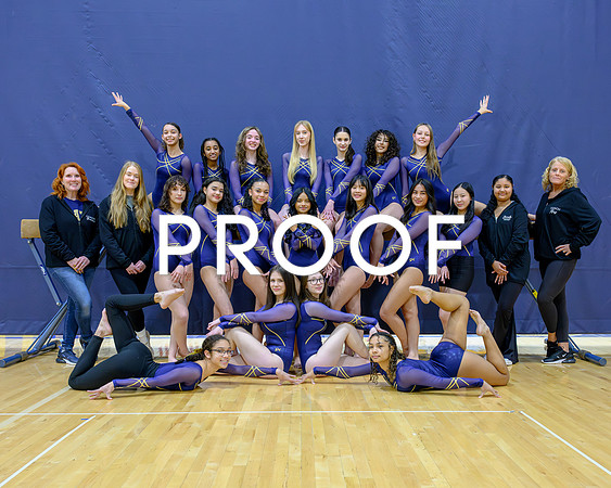 Gymnastics Team-1