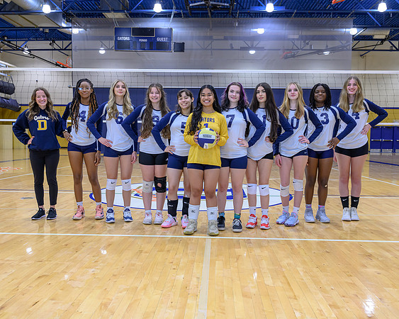 Decatur JV Volleyball