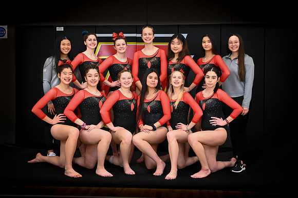 TJ Gymnastics Team