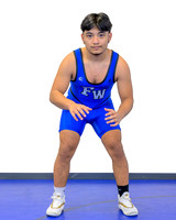 Miguel Lansino