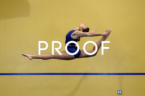 Decatur Gymnast