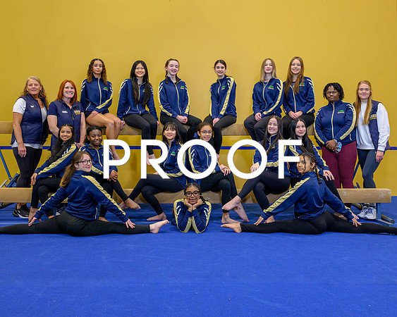 Decatur Gymnastics