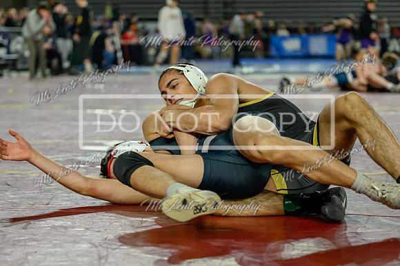 Tahoma-24
