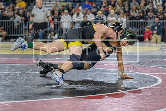 Tahoma-25