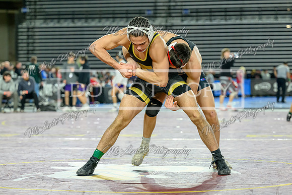 Tahoma-46