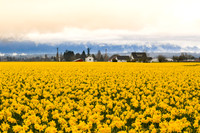 2021 03-24 Skagit State Wildlife Refuge-18