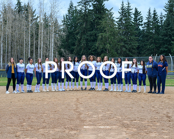 Softball Var-1