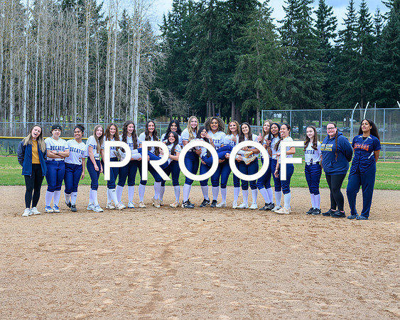 Softball Fun Picture