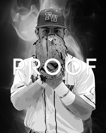Orlando B&W Posterized