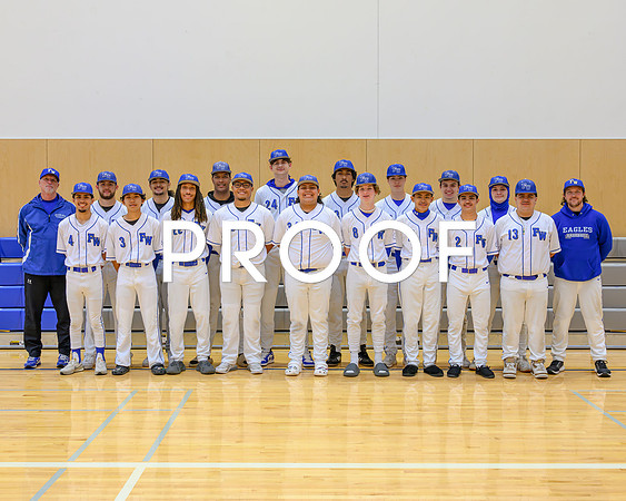 FW Baseball VAR-1