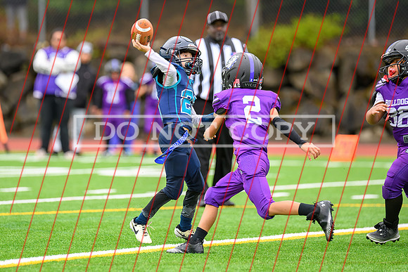 2024 08-25 Bulldogs at Aub Riverside 3rd-4th-015