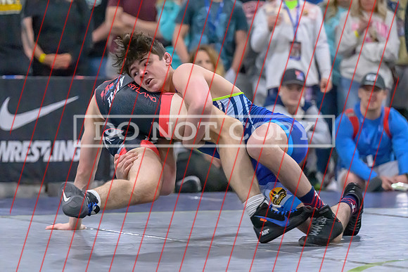 Bo Bassett-04
