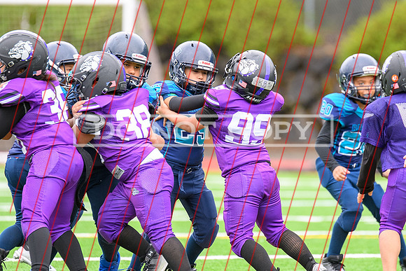 2024 08-25 Bulldogs at Aub Riverside 3rd-4th-009