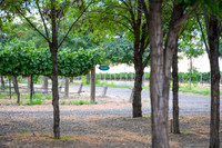 WA Wine Country 2024-09
