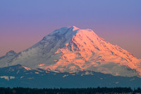 Mt. Rainier Sunset