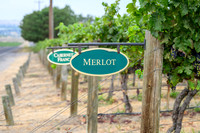 WA Wine Country 2024-14