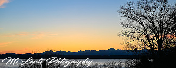 Magnolia Sunset 01.2021