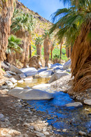 Palm Springs 04.2019