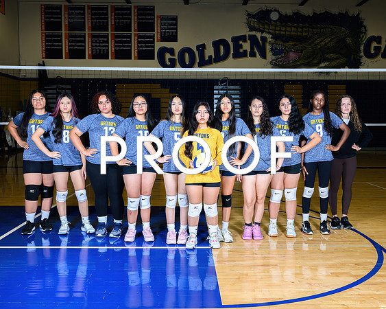 2024 Decatur Volleyball-15