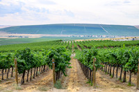 WA Wine Country 2024-08