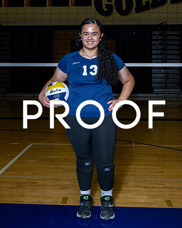 2024 Decatur Volleyball-08