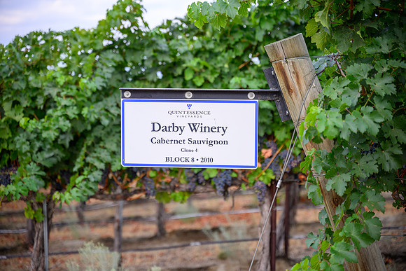 WA Wine Country 2024-06