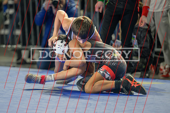 Tristan Guarnes-15
