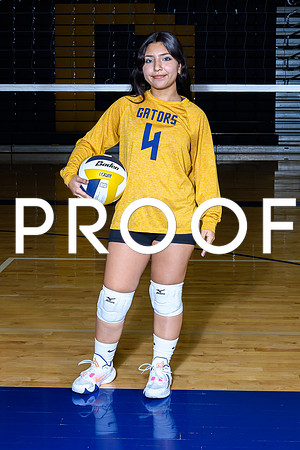 2024 Decatur Volleyball-12