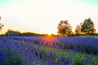 Our Legacy Fields 07-22-01