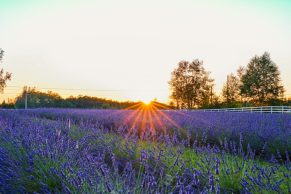 Our Legacy Fields 07-22-01