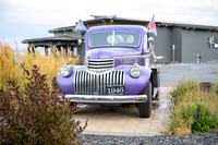 WA Wine Country 2024-11